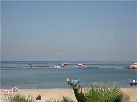 上海破碎寶山機械廠