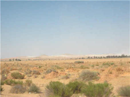 立式機制沙破碎機