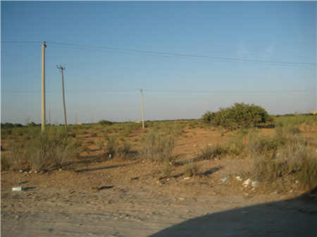 開采河沙都有那些手續